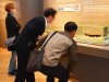한성백제박물관에서 만나는 ‘경주 월성’ 발굴 유물들