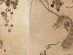 국립중앙박물관, 19세기 에도시대 일본 수묵화의 대가 다니 분초의  공개