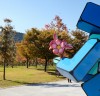 [서울문화] 서울 한강공원, 대형 야외 미술관으로 변모된다.